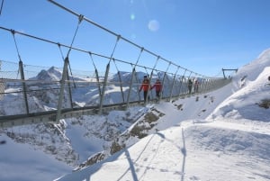 Schweiz: Privat dagstur med bil med obegränsat antal km