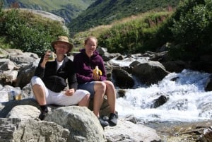 Schweiz: Privat dagstur med bil med obegränsat antal km