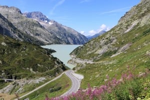 Schweiz: Privat dagstur med bil med obegränsat antal km