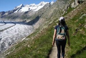 Schweiz: Privat dagstur med bil med obegränsat antal km