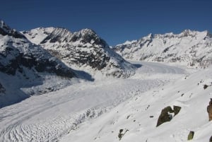 Schweiz: Privat dagstur med bil med obegränsat antal km
