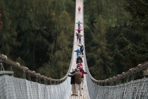 Schweiz: Privat dagstur med bil med obegränsat antal km