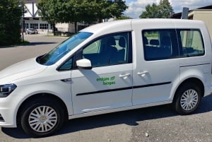 Schweiz: Privat dagstur med bil med obegränsat antal km