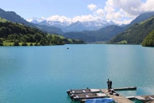 Schweiz: Privat dagstur med bil med obegränsat antal km