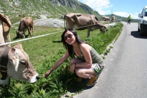 Schweiz: Privat dagstur med bil med obegränsat antal km