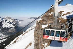 Schweiz: Privat dagstur med bil med obegränsat antal km