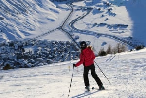 Schweiz: Privat dagstur med bil med obegränsat antal km
