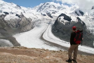 Schweiz: Privat dagstur med bil med obegränsat antal km