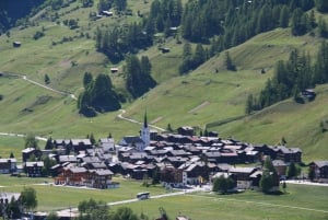 Schweiz: Privat dagstur med bil med obegränsat antal km