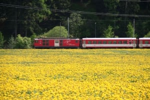Schweiz: Privat dagstur med bil med obegränsat antal km