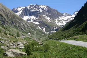 Schweiz: Privat dagstur med bil med obegränsat antal km