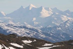 Schweiz: Privat dagstur med bil med obegränsat antal km