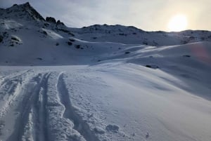 Швейцария: частный однодневный тур на лыжах для любого уровня