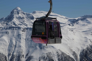 Швейцария: частный однодневный тур на лыжах для любого уровня