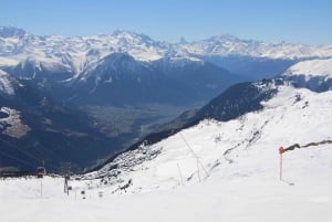 Швейцария: частный однодневный тур на лыжах для любого уровня