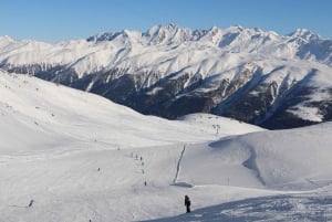 Швейцария: частный однодневный тур на лыжах для любого уровня
