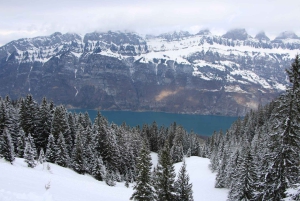 Sveitsi: Kelkkailun päiväretki