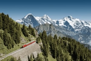 Switzerland: Train, Bus, Boat Travel Pass Flex