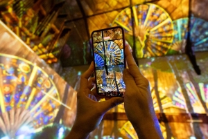 Bilhete para o espetáculo de luzes FLOW em Zurique