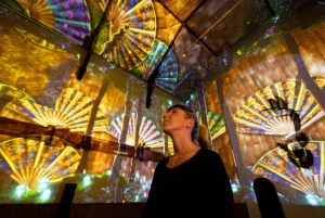 Bilhete para o espetáculo de luzes FLOW em Zurique