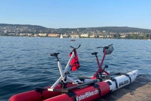Waterbike on Lake Zurich