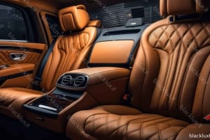 WEF DAVOS 2025 | TRANSFER TIL/FRA ZURICH LUFTHAVN TIL DAVOS