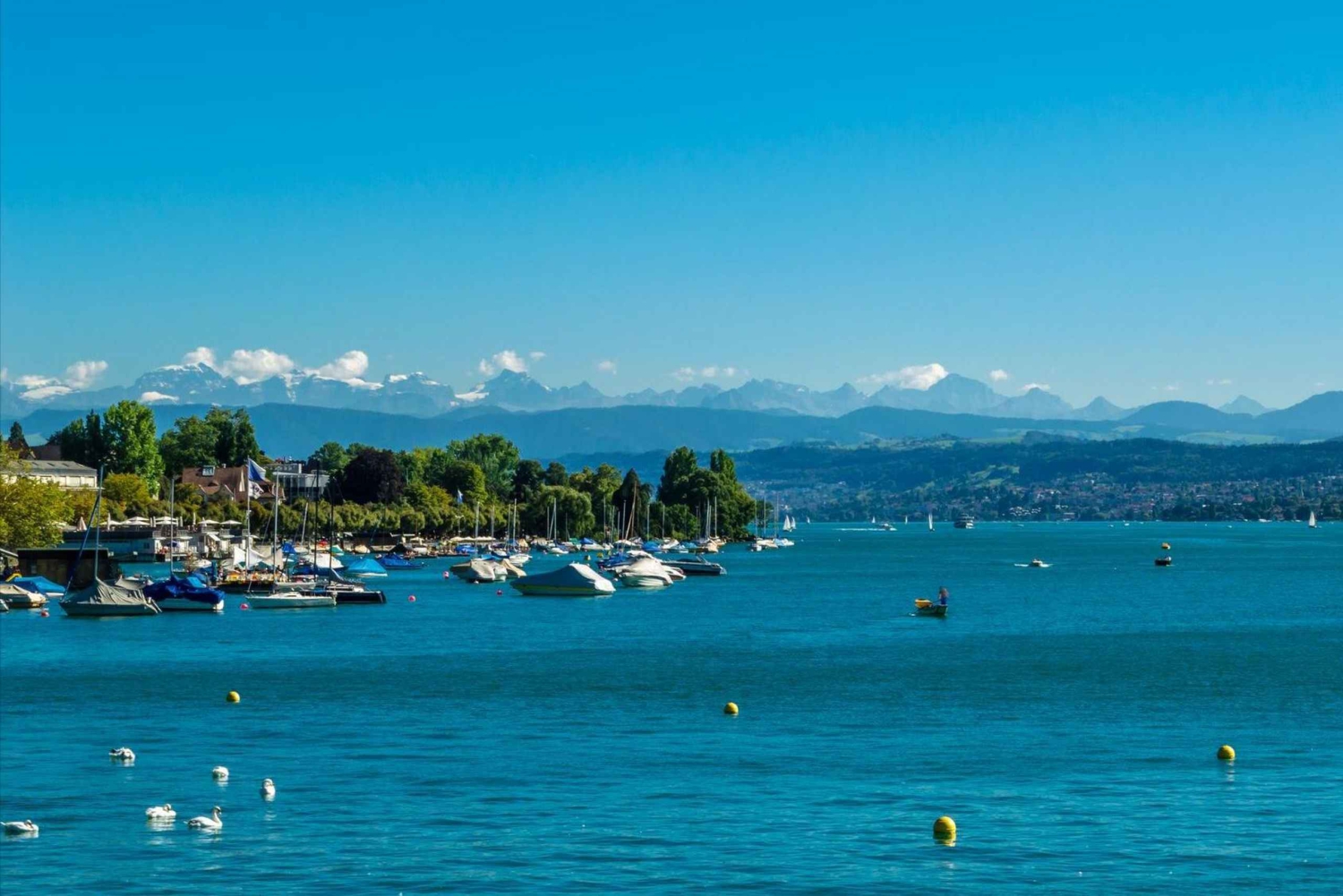 Zúrich: El mejor tour a pie de introducción de 2 horas con un lugareño