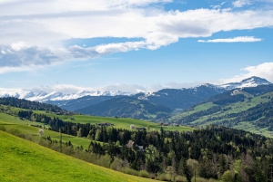 Zürich: Appenzell Day-Trip with Cheese & Chocolate Tastings