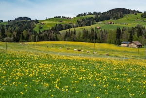 Zürich: Appenzell Day-Trip with Cheese & Chocolate Tastings