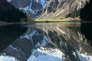 Zürich: Appenzeller Berge, See und Käserei Tagesausflug