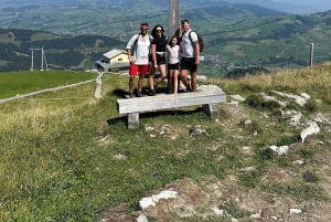 Zürich: Appenzeller Berge, See und Käserei Tagesausflug