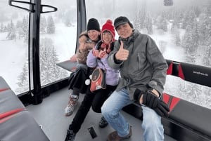 Zurigo/Berna/Interlaken/Lucerna: viaggio a Jungfrau e Lauterbrunnen