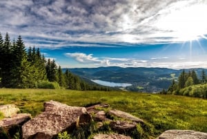 Zurich : Excursion d'une journée en bus dans la Forêt-Noire, le Titisee et les chutes du Rhin