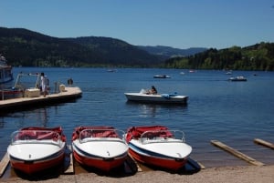 Zurich : Excursion d'une journée en bus dans la Forêt-Noire, le Titisee et les chutes du Rhin