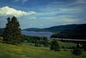 Zurich : Excursion d'une journée en bus dans la Forêt-Noire, le Titisee et les chutes du Rhin