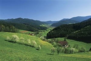 Zurich : Excursion d'une journée en bus dans la Forêt-Noire, le Titisee et les chutes du Rhin