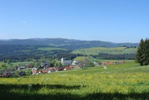 Zurich : Excursion d'une journée en bus dans la Forêt-Noire, le Titisee et les chutes du Rhin