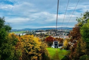 GRATIS FOTO i Zürich promenad linbana panorama sjön Zürich