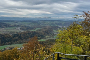 GRATIS FOTO i Zürich promenad linbana panorama sjön Zürich