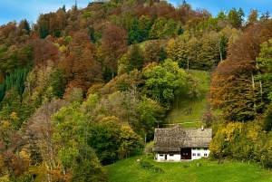 GRATIS FOTO i Zürich promenad linbana panorama sjön Zürich