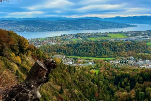 GRATIS FOTO i Zürich promenad linbana panorama sjön Zürich