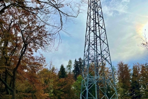 GRATIS FOTO i Zürich promenad linbana panorama sjön Zürich