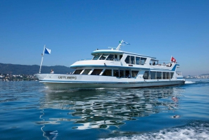 Zurich: City Bus Tour with Audio Guide and Lake Cruise