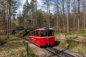 Avventura nei trasporti di Zurigo: Ruota a cremagliera, Funicolare e Battello fluviale