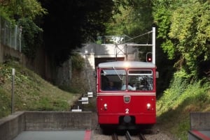 Avventura nei trasporti di Zurigo: Ruota a cremagliera, Funicolare e Battello fluviale