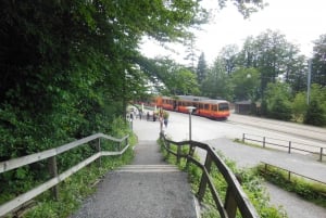 Avventura nei trasporti di Zurigo: Ruota a cremagliera, Funicolare e Battello fluviale