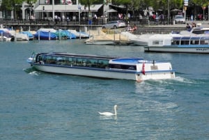 Avventura nei trasporti di Zurigo: Ruota a cremagliera, Funicolare e Battello fluviale