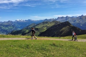 Dagstur fra Zürich: Den bratteste taubanen til Stoos og utsikten fra Rigi