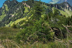 Dagstur fra Zürich: Den bratteste taubanen til Stoos og utsikten fra Rigi