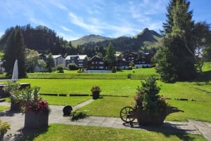 Dagstur fra Zürich: Den bratteste taubanen til Stoos og utsikten fra Rigi